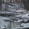 Thumbnail image for Winter Stream